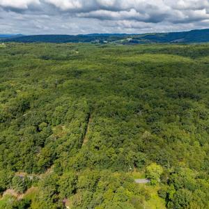 Photo #6 of 19.54 AC PRESIDENTS RD, SCOTTSVILLE, VA 19.5 acres