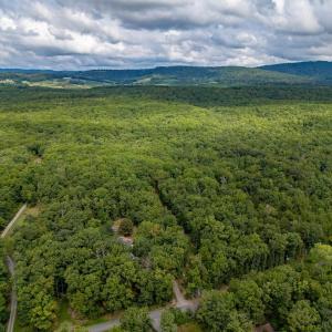 Photo #4 of 19.54 AC PRESIDENTS RD, SCOTTSVILLE, VA 19.5 acres