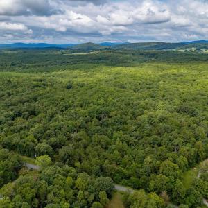 Photo #3 of 19.54 AC PRESIDENTS RD, SCOTTSVILLE, VA 19.5 acres