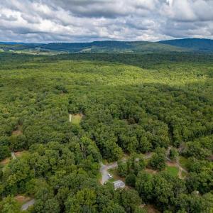 Photo #5 of 19.54 AC PRESIDENTS RD, SCOTTSVILLE, VA 19.5 acres