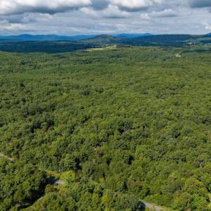 Photo #11 of 19.54 AC PRESIDENTS RD, SCOTTSVILLE, VA 19.5 acres