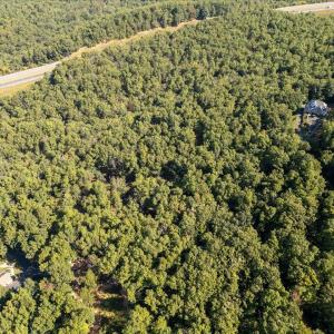 Photo #6 of TBD BEN LYONS LN, LYNDHURST, VA 5.7 acres