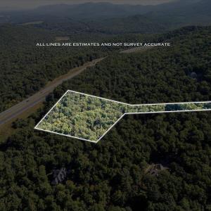 Photo #3 of TBD BEN LYONS LN, LYNDHURST, VA 5.7 acres