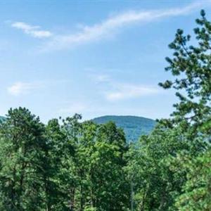 Photo #5 of TBD FOX RUN LN, WAYNESBORO, VA 5.0 acres