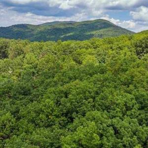 Photo #8 of TBD FOX RUN LN, WAYNESBORO, VA 5.0 acres