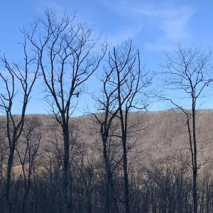 Photo #4 of 15 DELAFIELD RD, HOT SPRINGS, VA 1.6 acres