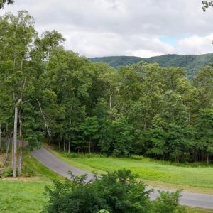 Photo #2 of 15 DELAFIELD RD, HOT SPRINGS, VA 1.6 acres