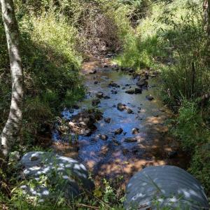 Photo #32 of Lot 4 ZINKS MILL SCHOOL RD, MONTEBELLO, VA 14.9 acres