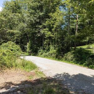 Photo #35 of Lot 4 ZINKS MILL SCHOOL RD, MONTEBELLO, VA 14.9 acres