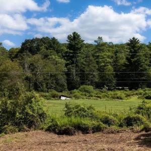 Photo #30 of Lot 4 ZINKS MILL SCHOOL RD, MONTEBELLO, VA 14.9 acres
