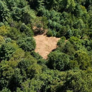 Photo #14 of Lot 4 ZINKS MILL SCHOOL RD, MONTEBELLO, VA 14.9 acres