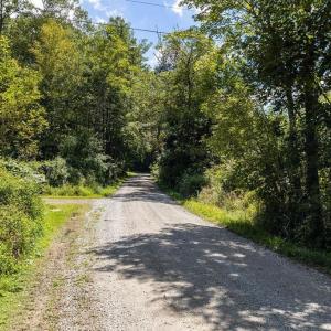 Photo #36 of Lot 4 ZINKS MILL SCHOOL RD, MONTEBELLO, VA 14.9 acres