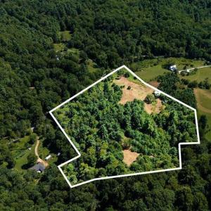Photo #3 of Lot 4 ZINKS MILL SCHOOL RD, MONTEBELLO, VA 14.9 acres