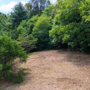 Photo #19 of Lot 4 ZINKS MILL SCHOOL RD, MONTEBELLO, VA 14.9 acres