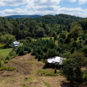 Photo #37 of Lot 4 ZINKS MILL SCHOOL RD, MONTEBELLO, VA 14.9 acres
