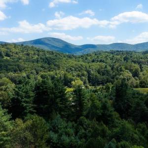 Photo #23 of Lot 4 ZINKS MILL SCHOOL RD, MONTEBELLO, VA 14.9 acres