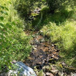 Photo #33 of Lot 4 ZINKS MILL SCHOOL RD, MONTEBELLO, VA 14.9 acres