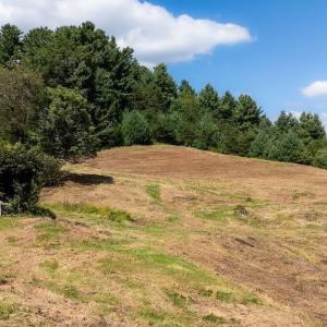 Photo #24 of Lot 4 ZINKS MILL SCHOOL RD, MONTEBELLO, VA 14.9 acres