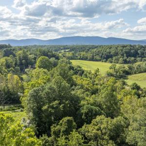 Photo #13 of Lot 5 GILLUMS RIDGE RD, CHARLOTTESVILLE, VA 3.1 acres