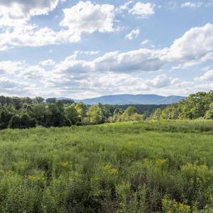 Photo #4 of Lot 5 GILLUMS RIDGE RD, CHARLOTTESVILLE, VA 3.1 acres