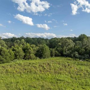 Photo #9 of Lot 5 GILLUMS RIDGE RD, CHARLOTTESVILLE, VA 3.1 acres