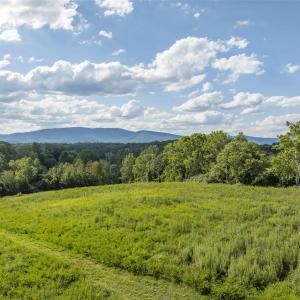 Photo #1 of Lot 5 GILLUMS RIDGE RD, CHARLOTTESVILLE, VA 3.1 acres