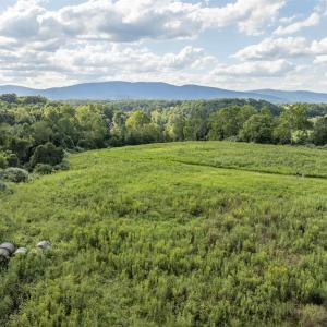 Photo #11 of Lot 5 GILLUMS RIDGE RD, CHARLOTTESVILLE, VA 3.1 acres