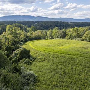 Photo #7 of Lot 5 GILLUMS RIDGE RD, CHARLOTTESVILLE, VA 3.1 acres