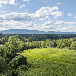 Photo #6 of Lot 5 GILLUMS RIDGE RD, CHARLOTTESVILLE, VA 3.1 acres
