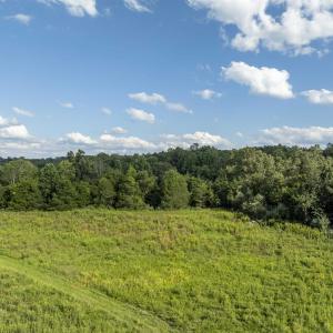 Photo #8 of Lot 5 GILLUMS RIDGE RD, CHARLOTTESVILLE, VA 3.1 acres