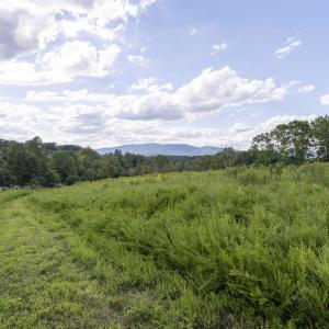 Photo #2 of Lot 5 GILLUMS RIDGE RD, CHARLOTTESVILLE, VA 3.1 acres