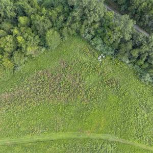 Photo #10 of Lot 5 GILLUMS RIDGE RD, CHARLOTTESVILLE, VA 3.1 acres
