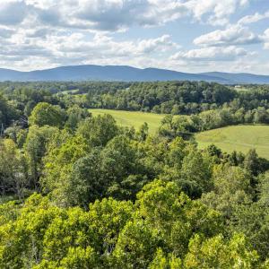 Photo #12 of Lot 5 GILLUMS RIDGE RD, CHARLOTTESVILLE, VA 3.1 acres