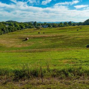 Photo #11 of TBD SWEET OAKS LN, STUARTS DRAFT, VA 1.9 acres