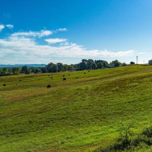 Photo #9 of TBD SWEET OAKS LN, STUARTS DRAFT, VA 1.9 acres