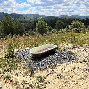 Photo #49 of .TBD DOE HILL RD, MC DOWELL, VA 35.5 acres