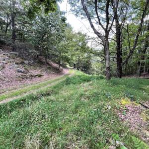 Photo #46 of .TBD DOE HILL RD, MC DOWELL, VA 35.5 acres