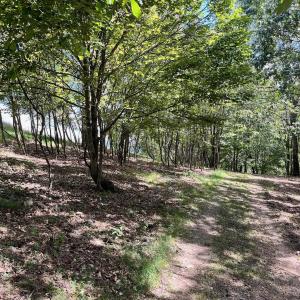 Photo #53 of .TBD DOE HILL RD, MC DOWELL, VA 35.5 acres