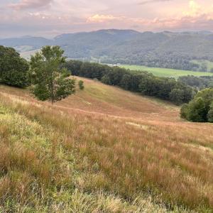 Photo #11 of .TBD DOE HILL RD, MC DOWELL, VA 35.5 acres