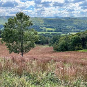 Photo #38 of .TBD DOE HILL RD, MC DOWELL, VA 35.5 acres
