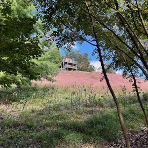 Photo #54 of .TBD DOE HILL RD, MC DOWELL, VA 35.5 acres