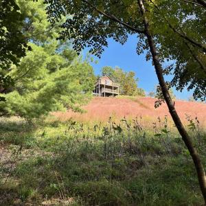 Photo #12 of .TBD DOE HILL RD, MC DOWELL, VA 35.5 acres