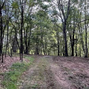 Photo #26 of .TBD DOE HILL RD, MC DOWELL, VA 35.5 acres