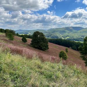 Photo #33 of .TBD DOE HILL RD, MC DOWELL, VA 35.5 acres