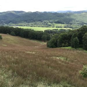 Photo #5 of .TBD DOE HILL RD, MC DOWELL, VA 35.5 acres