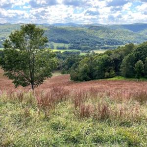 Photo #34 of .TBD DOE HILL RD, MC DOWELL, VA 35.5 acres