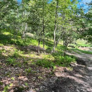 Photo #41 of .TBD DOE HILL RD, MC DOWELL, VA 35.5 acres