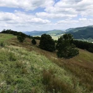 Photo #1 of .TBD DOE HILL RD, MC DOWELL, VA 35.5 acres