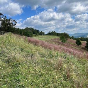 Photo #37 of .TBD DOE HILL RD, MC DOWELL, VA 35.5 acres