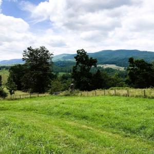 Photo #8 of .TBD DOE HILL RD, MC DOWELL, VA 35.5 acres